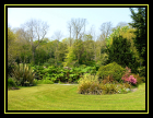 jardin de Derrynane1